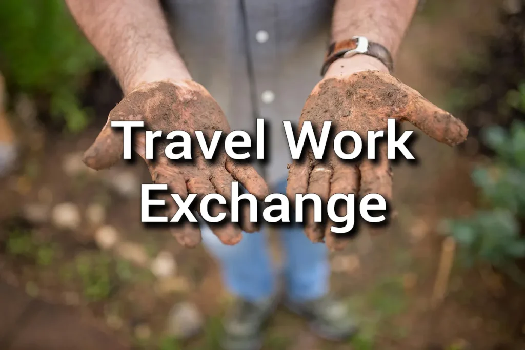 Travel Work Exchange